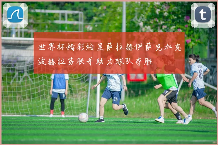 世界杯精彩纷呈萨拉赫伊萨克加克波赫拉芬联手助力球队夺胜